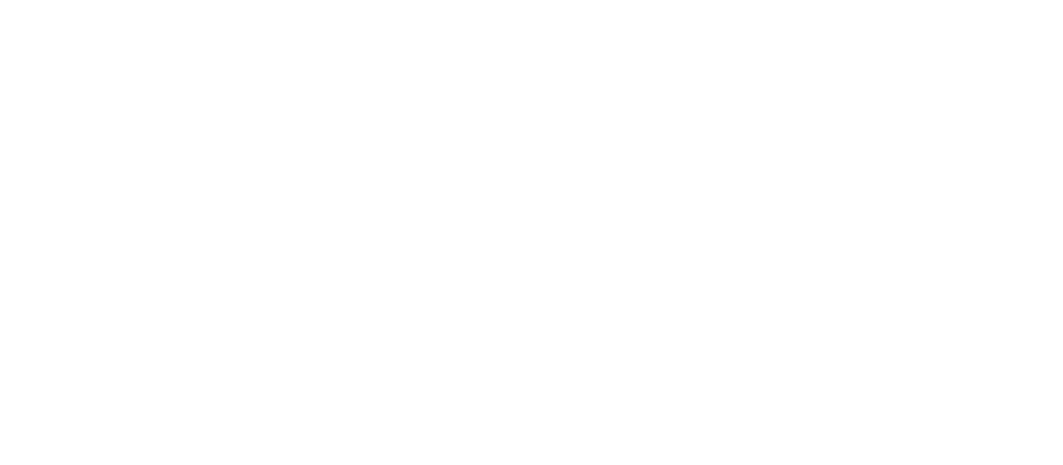 Avida Consulting Logo